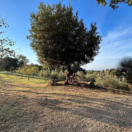 Casale Di Valle Mora San Gimignano Esterno foto