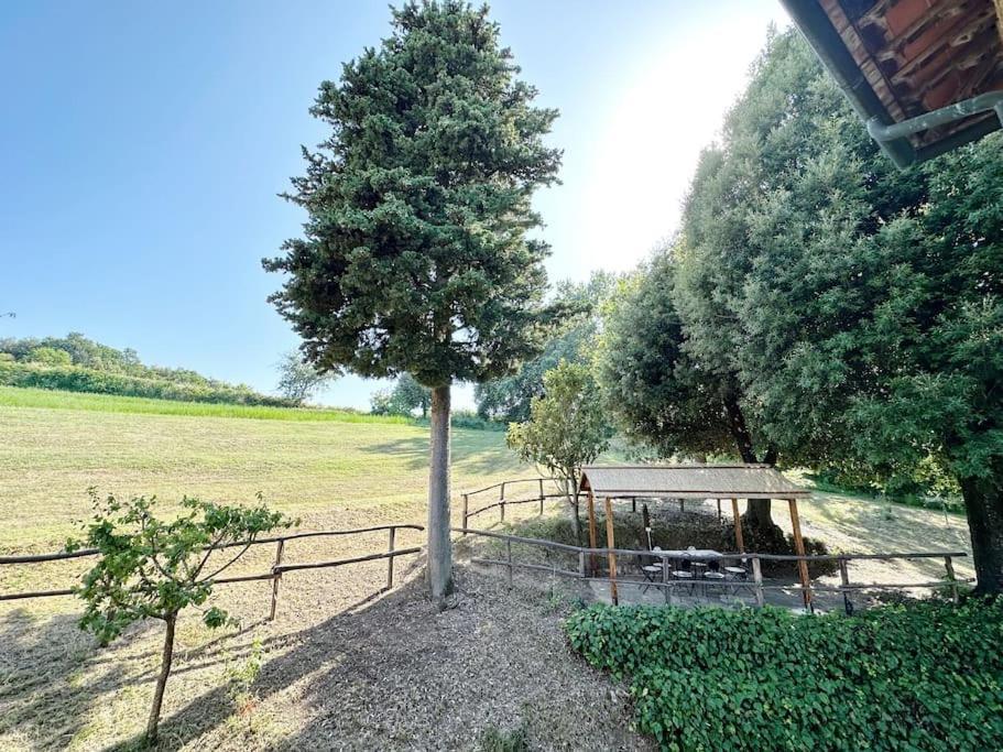 Casale Di Valle Mora San Gimignano Esterno foto