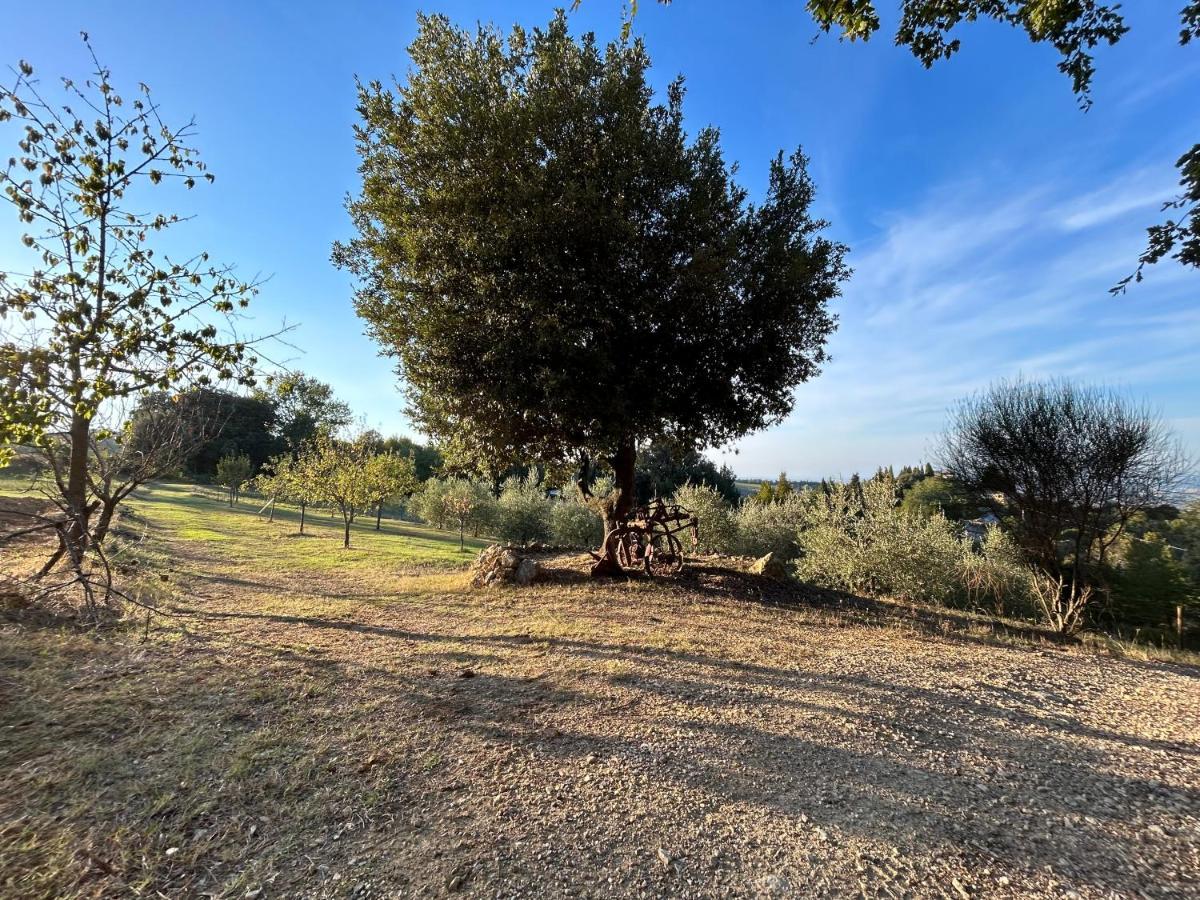 Casale Di Valle Mora San Gimignano Esterno foto